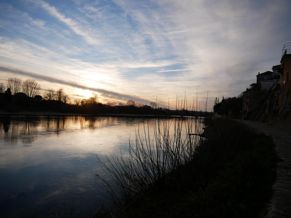 Hotel Restaurant Cote Garonne Le Balcon Des Dames - Tonneins Fauillet Marmande - Vue Panoramique Bord De Garonne Chambres Climatisees Экстерьер фото