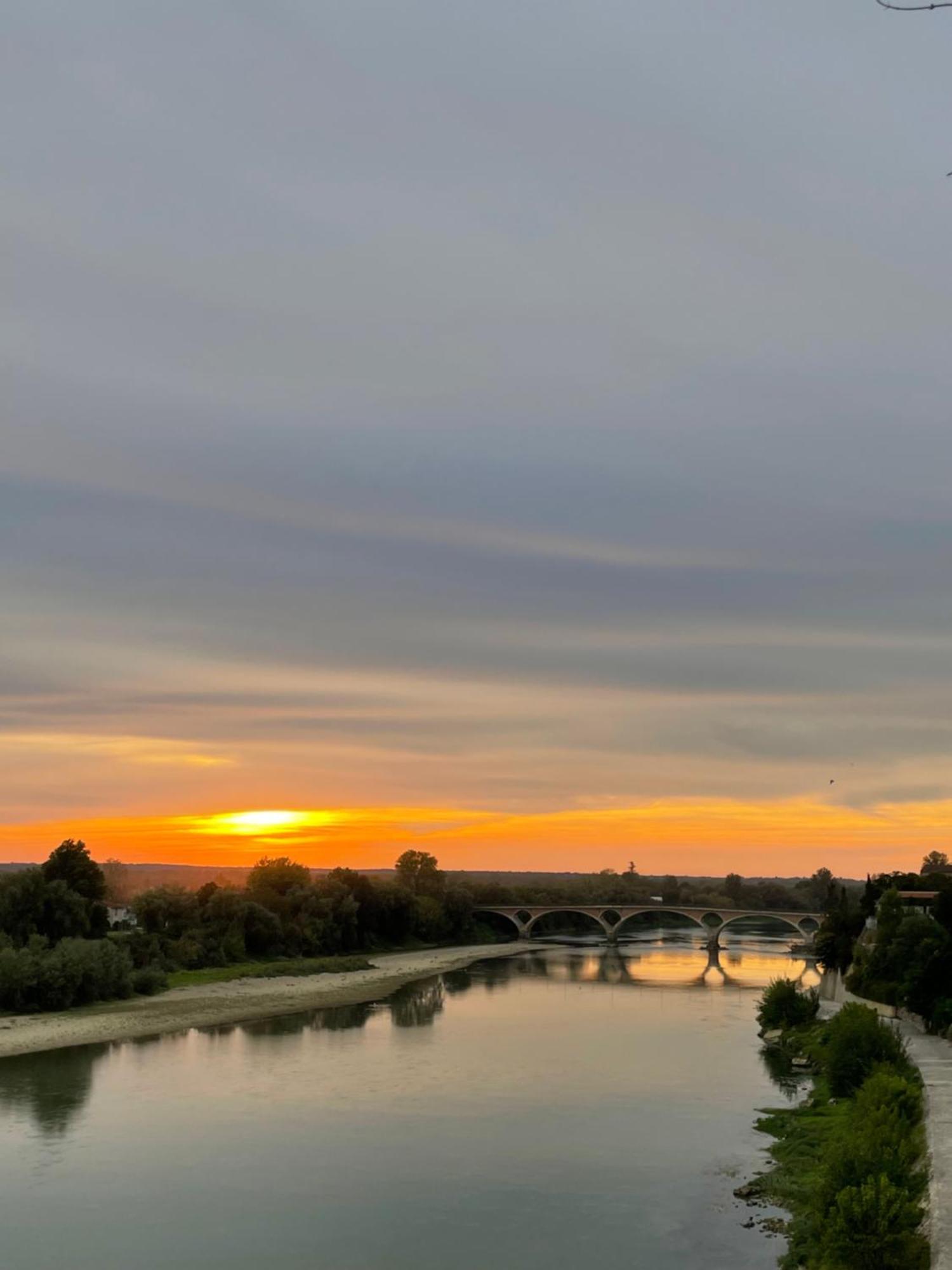 Hotel Restaurant Cote Garonne Le Balcon Des Dames - Tonneins Fauillet Marmande - Vue Panoramique Bord De Garonne Chambres Climatisees Экстерьер фото